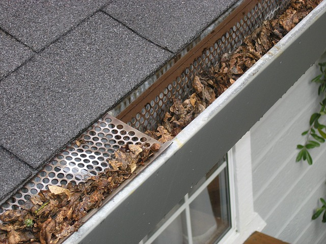 Siding Service Pic